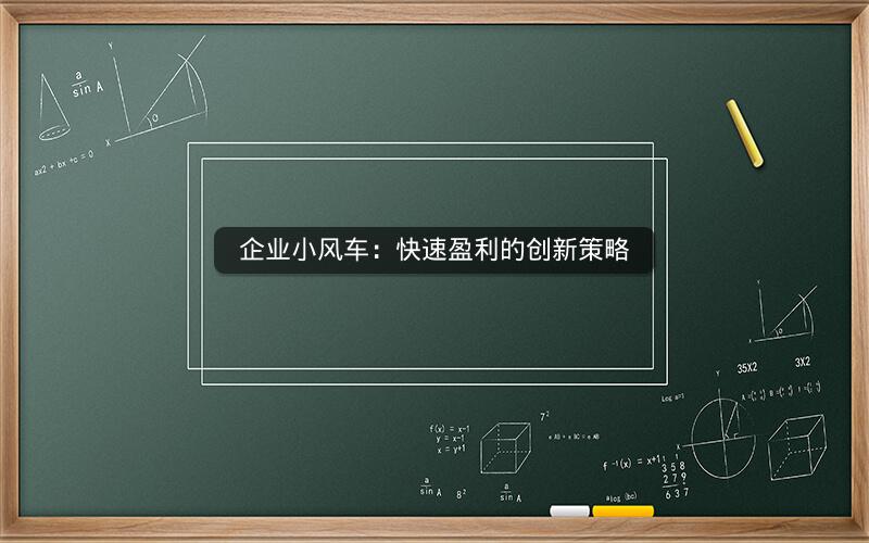 企业小风车：快速盈利的创新策略