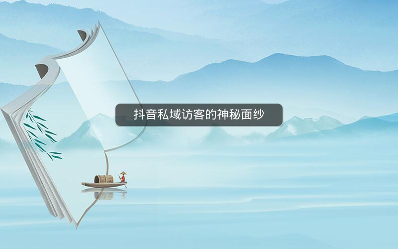 抖音私域访客的神秘面纱