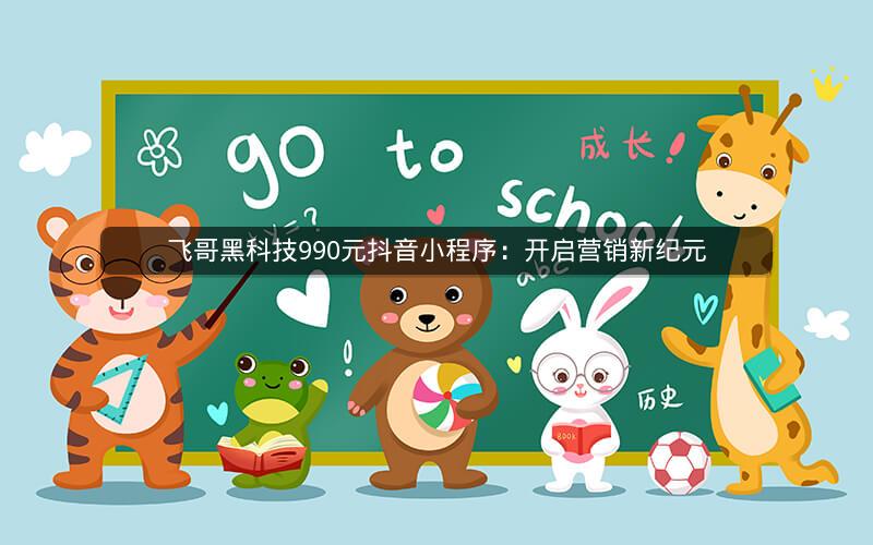 飞哥黑科技990元抖音小程序：开启营销新纪元