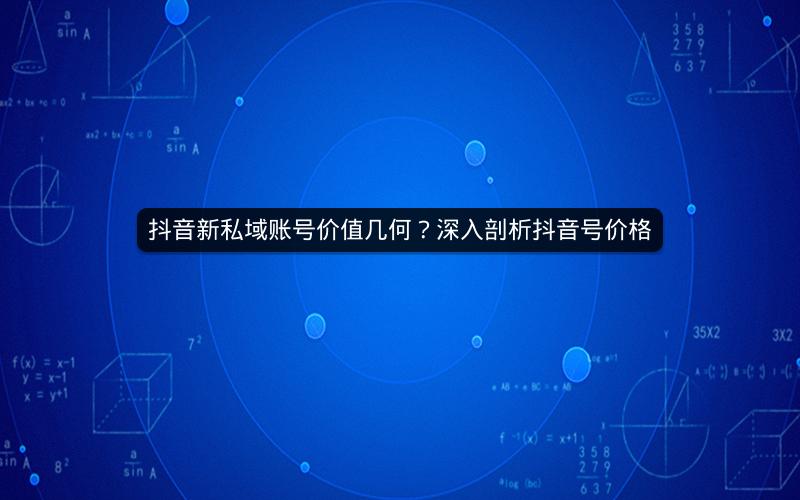 抖音新私域账号价值几何？深入剖析抖音号价格